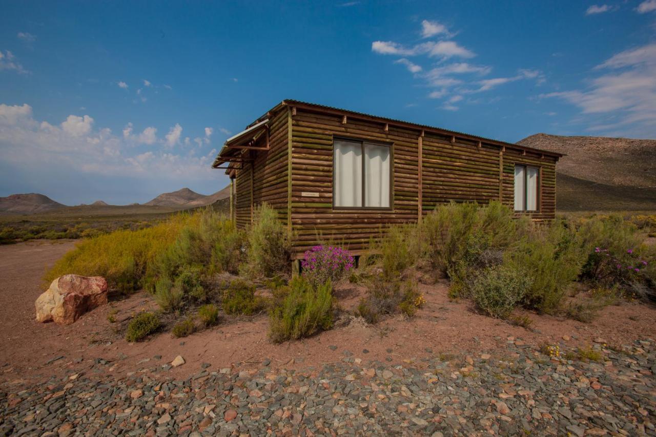 Gecko Rock Private Nature Reserve Goedgemoed Exterior foto